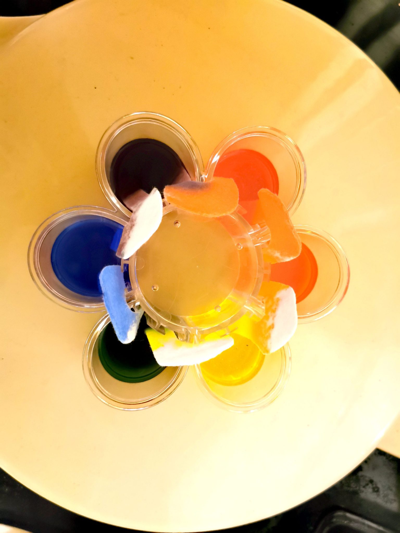 floating coloured water experiment