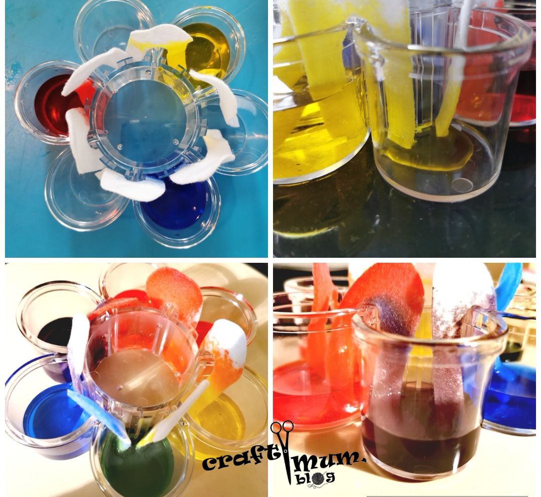 Travelling coloured water experiment